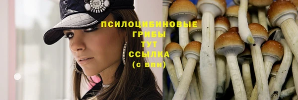 ПСИЛОЦИБИНОВЫЕ ГРИБЫ Елизово