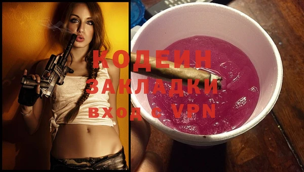 ПСИЛОЦИБИНОВЫЕ ГРИБЫ Елизово