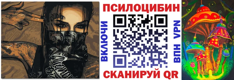 Купить где  Егорьевск  Псилоцибиновые грибы мицелий 